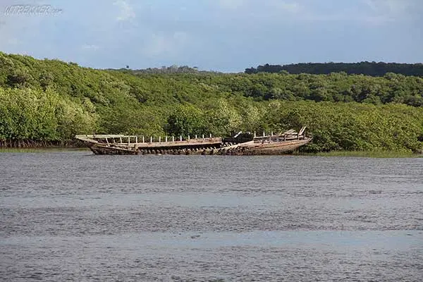 Old Buranhém River shipwreck by the mangroves