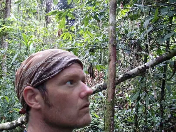 Listening to animals sound inside the Amazon basin